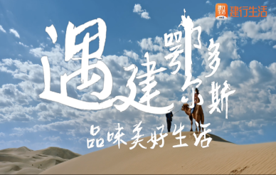 &#20048;&#31454;&#23448;&#32593;&#45;&#20048;&#31454;&#40;&#20013;&#22269;&#41;&#19968;&#31449;&#24335;&#20307;&#32946;&#26381;&#21153;
