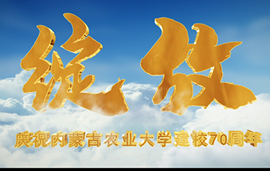 &#20048;&#31454;&#23448;&#32593;&#45;&#20048;&#31454;&#40;&#20013;&#22269;&#41;&#19968;&#31449;&#24335;&#20307;&#32946;&#26381;&#21153;